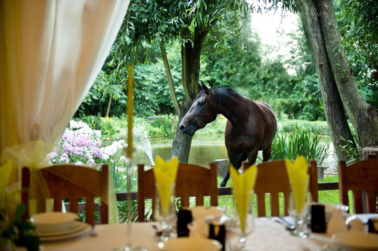 Rancho Slezanski Mlyn Szczepanów Εξωτερικό φωτογραφία